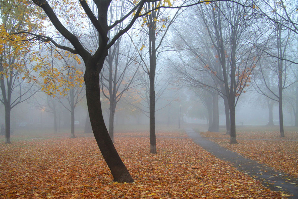 Photographs of Toronto