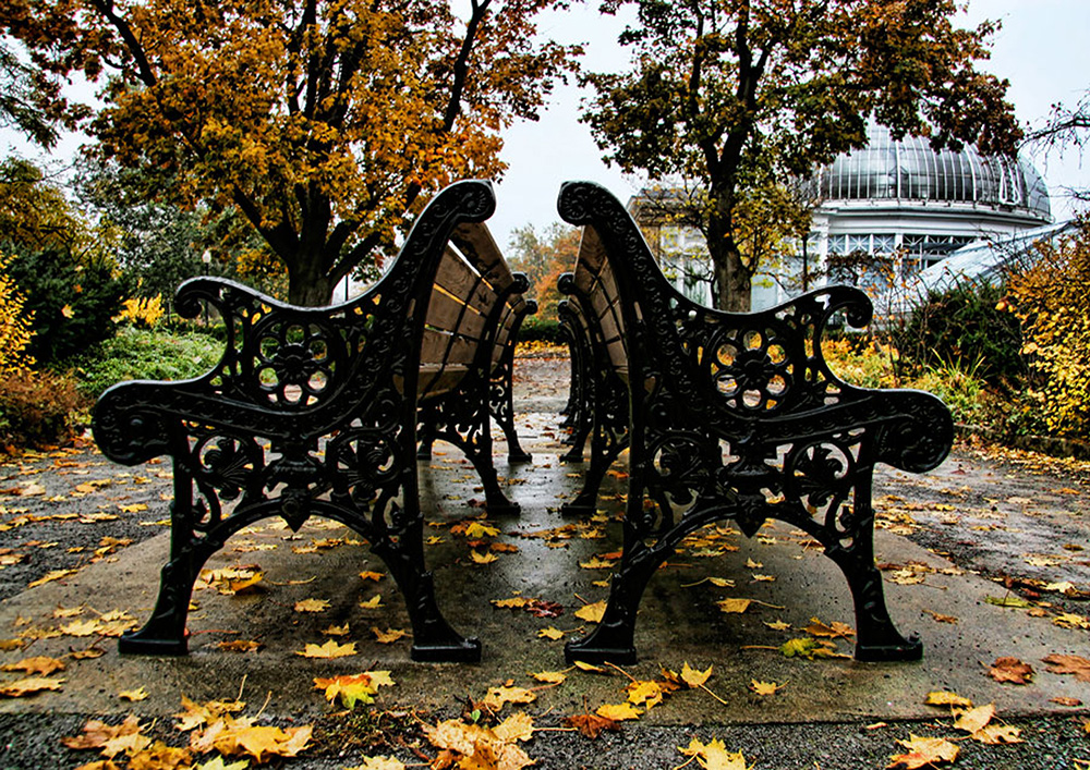 City of Toronto Photographs