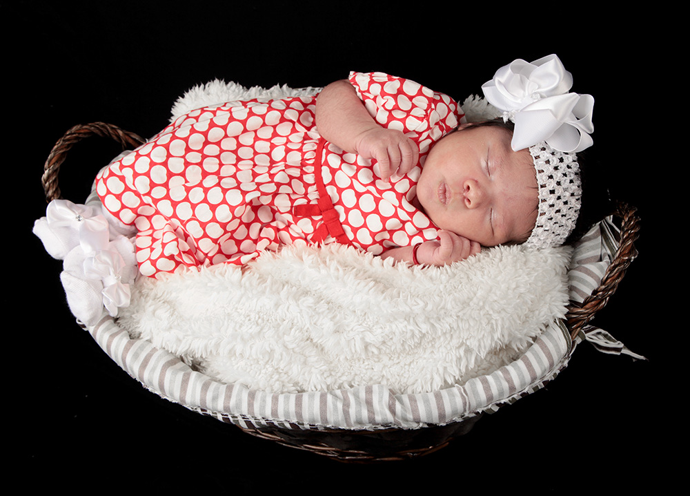 Toronto Newborn Photography